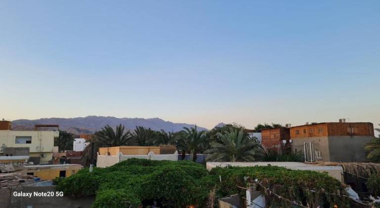 Holiday apartment with 1 room for 3 persons — photo 3