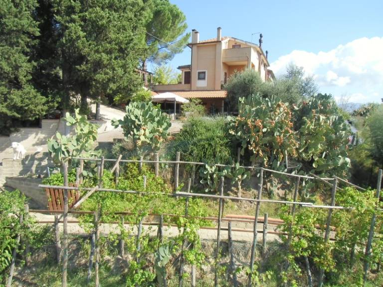 foto4