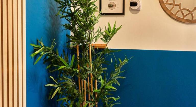 foto35