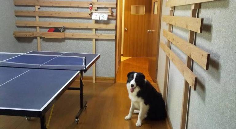 foto11