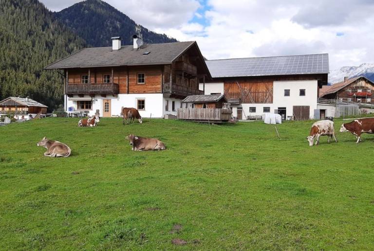 Althuberhof: Althuberhof — photo 4