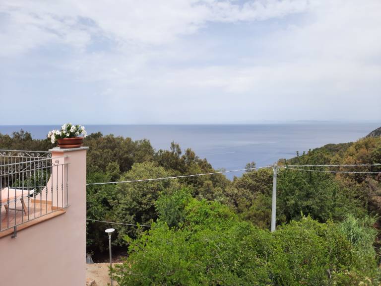 Children-friendly rental apartment with grill, terrace & garden | Sea view | Dogs allowed — photo 4