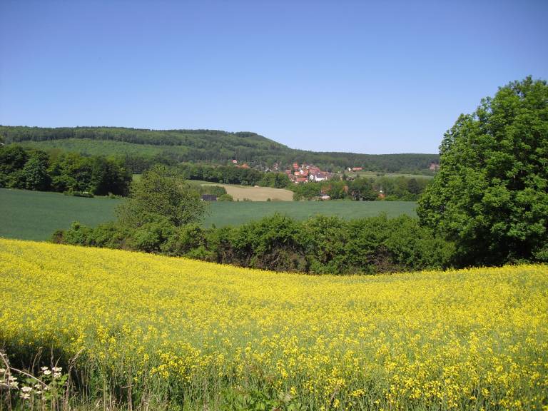 foto4