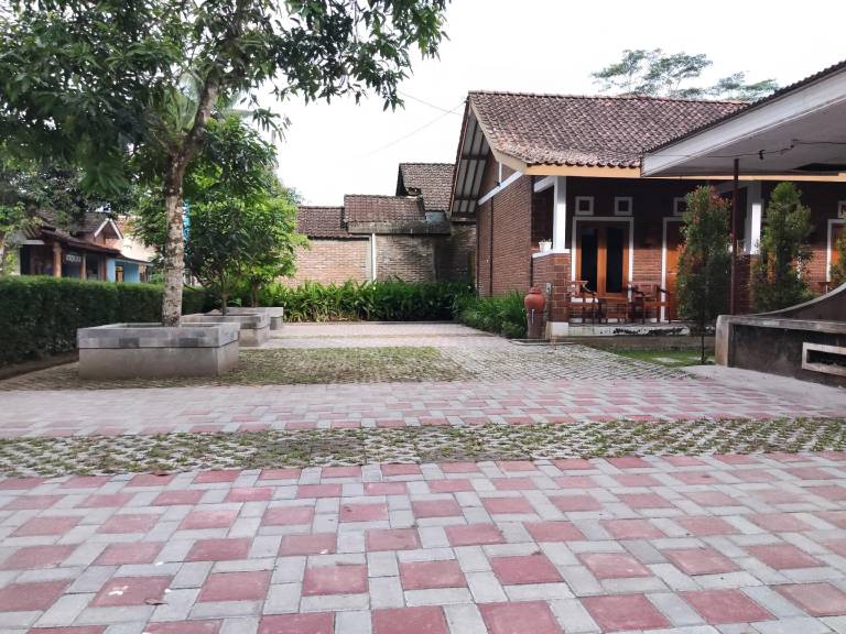 foto16
