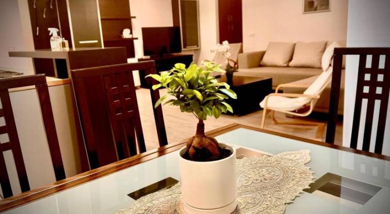 Rental apartment with patio, private pool & BBQ in Timisoara