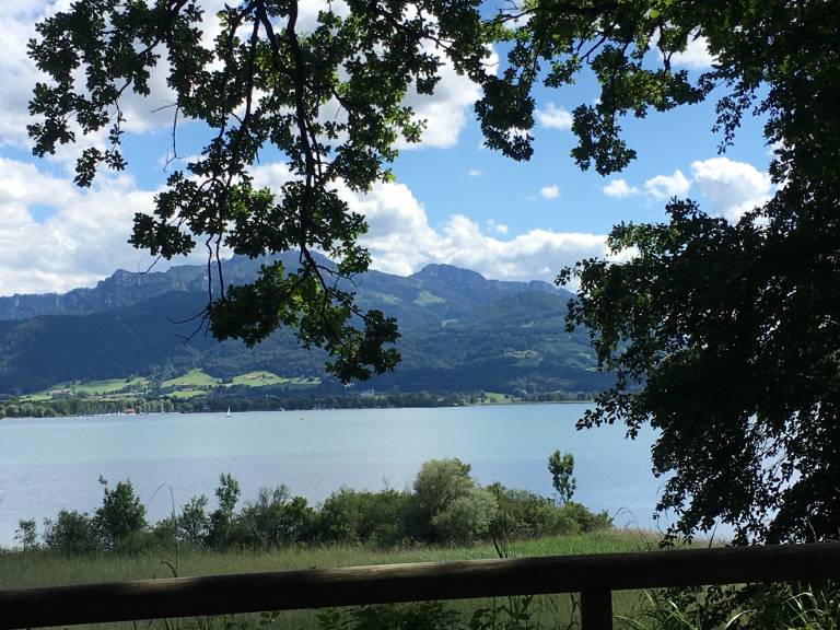 foto15