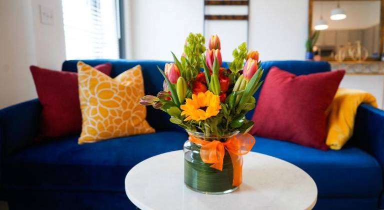 The Sunflower Suite in Lawrence, KS