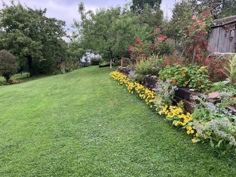 foto44