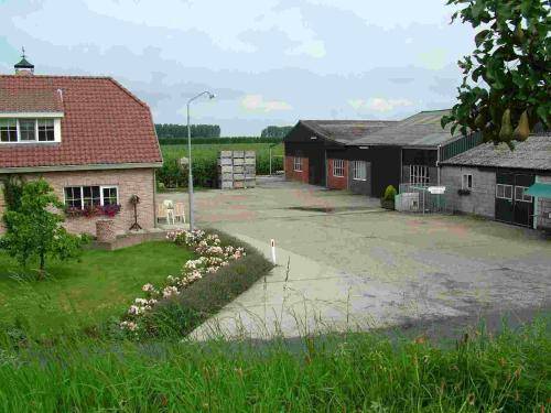 foto6
