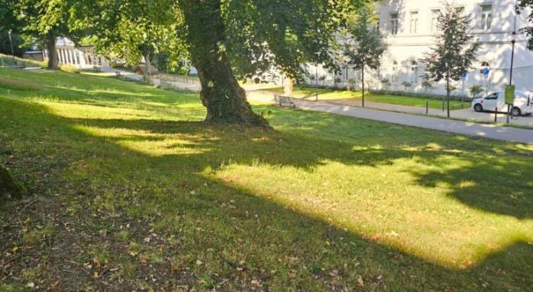 foto13