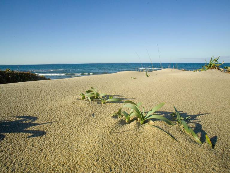 Ferienwohnung in Sorso, Sardinien f&uuml;r max. 4 Personen