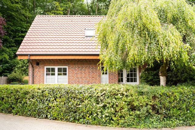 Ferienhaus Löningen