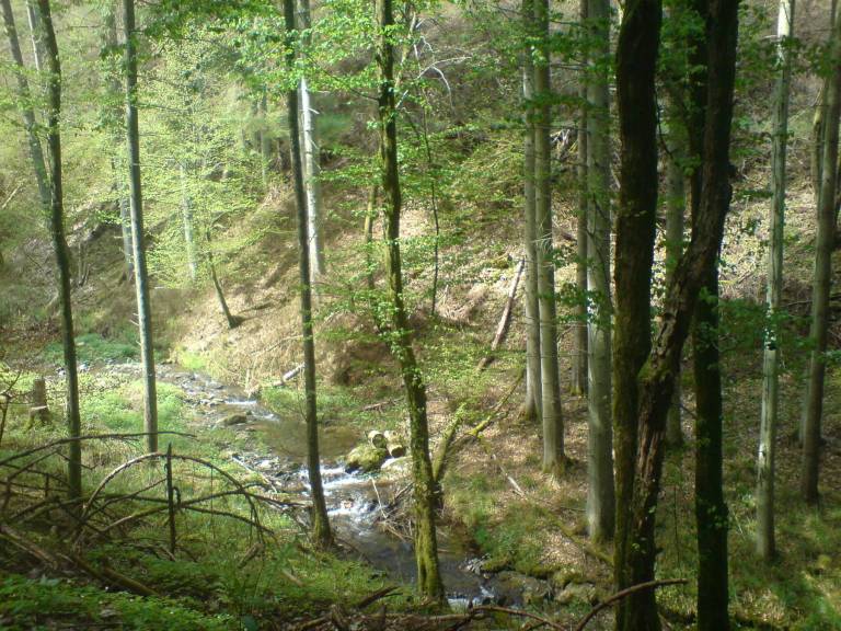 foto11