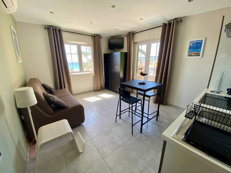 Air-Conditioned Apartment in Le Lavandou Center, Near Beach — photo 3