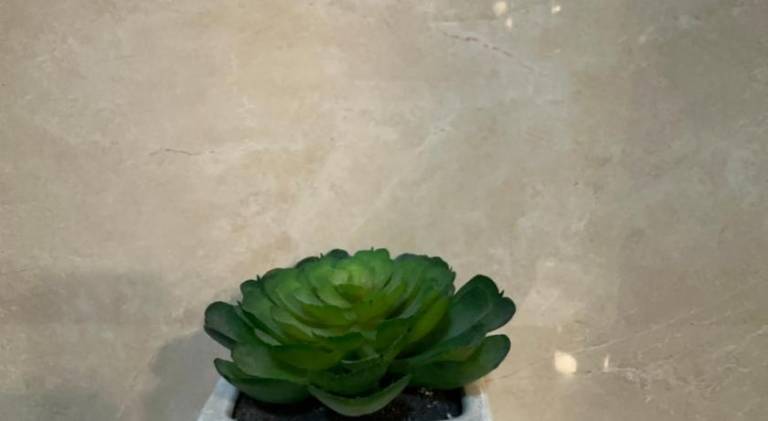 foto19