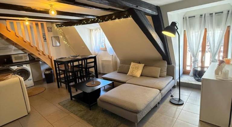 Rental apartment with 1 room for 4 persons in Sélestat