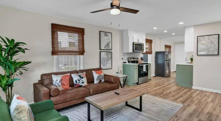 Pleasant house | Perfect for remote work | Pet-friendly in Columbia, GA