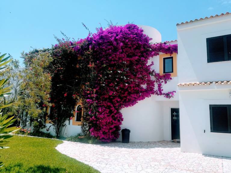Chalet  Aljezur