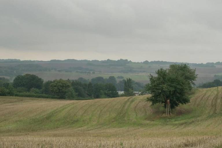 foto15