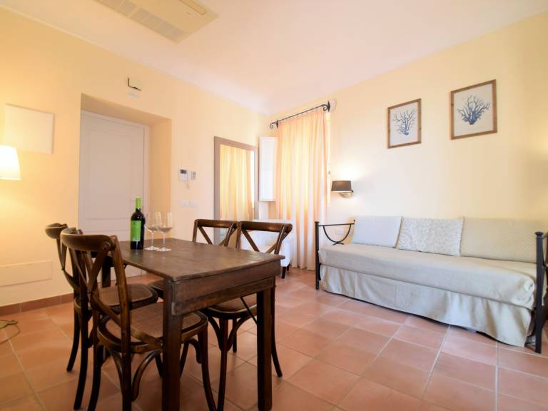 Apartment with terrace — photo 4