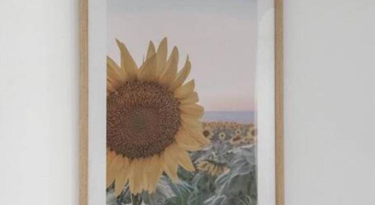 foto19