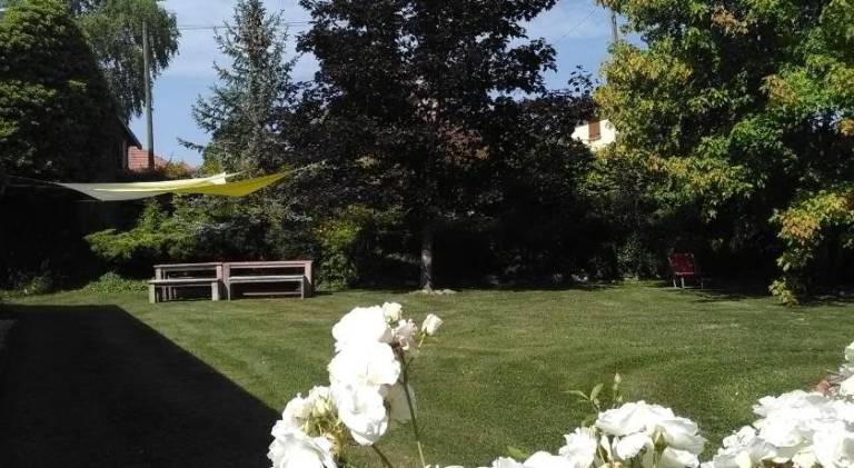 foto17