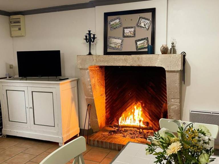Rustic cottage with fireplace in Saint-Lubin-en-Vergonnois, pets allowed — photo 5