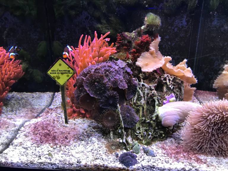 foto25