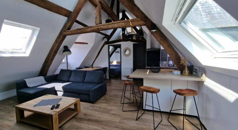 Lovely rental apartment | Pet-friendly in Rouen