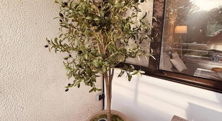 foto12