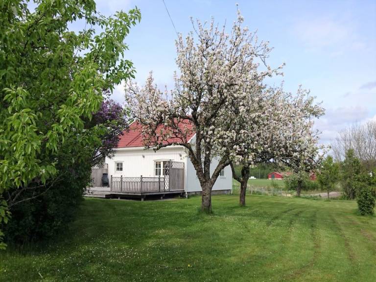 Feriehus  Uddevalla kommun