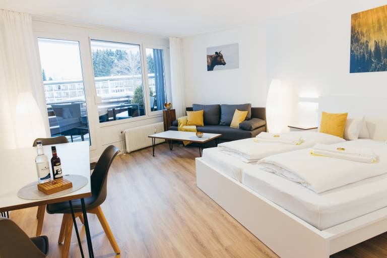 Rental apartment with pool, yard & sauna | Mountain view in Scheidegg