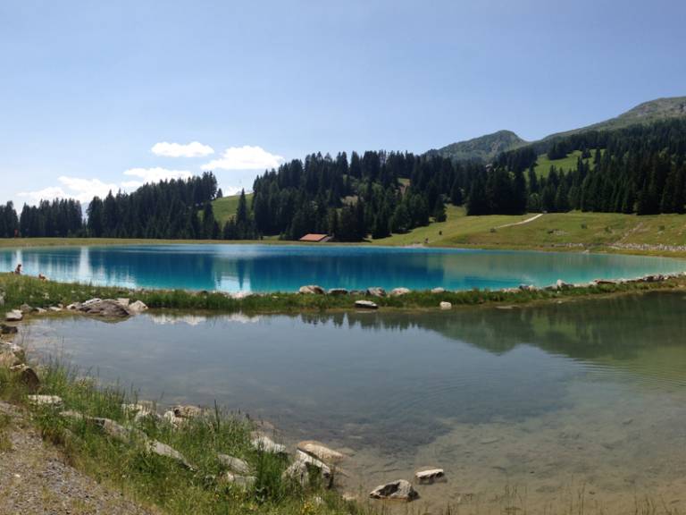foto10
