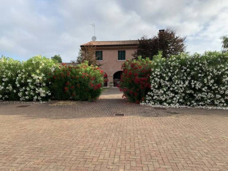 foto18