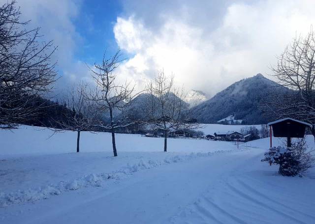 Ferienwohnung  Ruhpolding