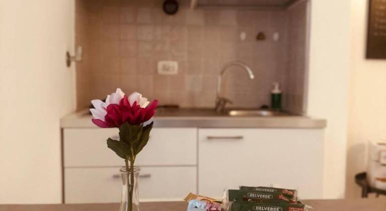 Beautiful holiday apartment with patio & garden | Dogs allowed — photo 4