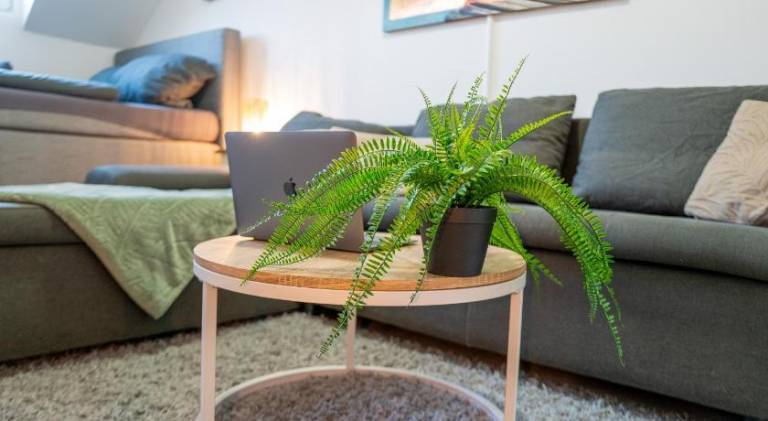 Holiday apartment with 1 room for 3 persons — photo 4
