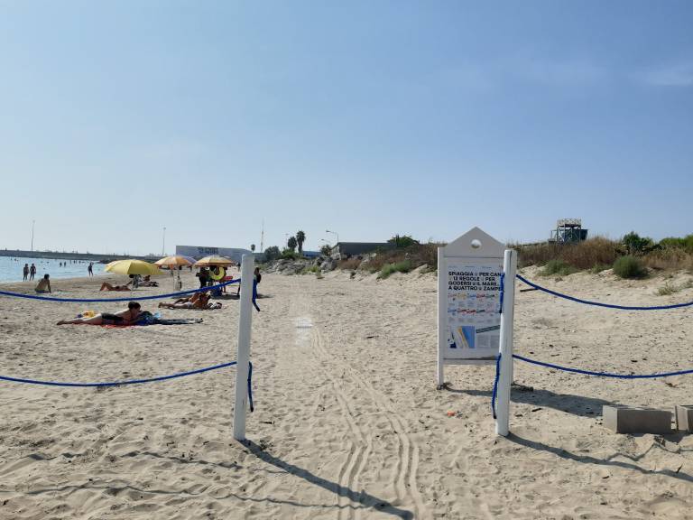 foto9