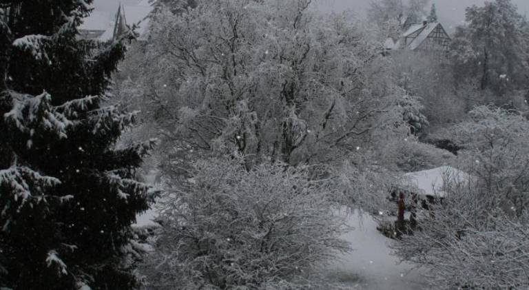 foto40