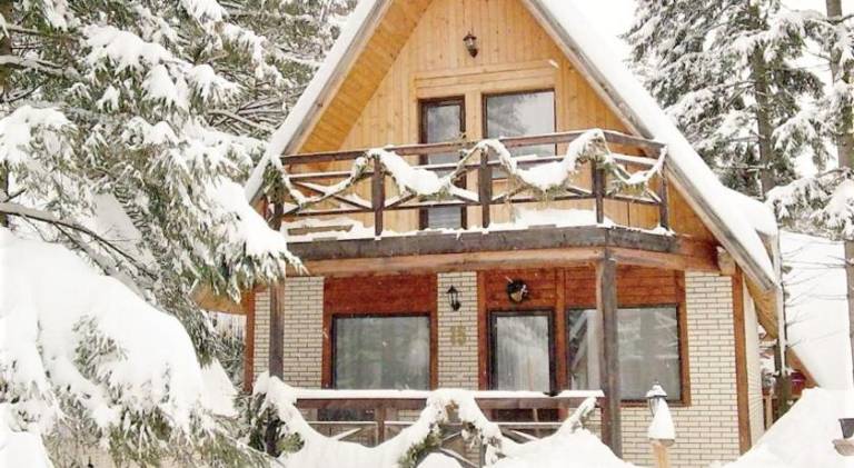 Serviced apartment with patio, garden & grill in Brasov