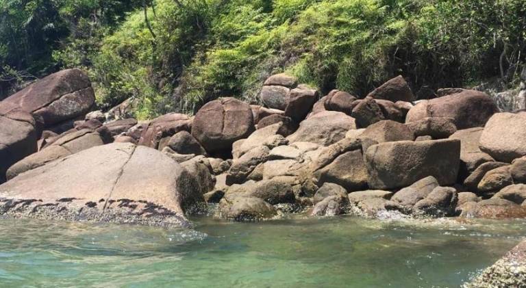 Nice apartment | Pets are welcome in Ubatuba