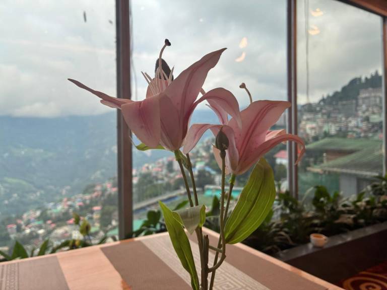 Hotel Mayur — photo 5