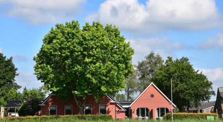 Doezumertocht