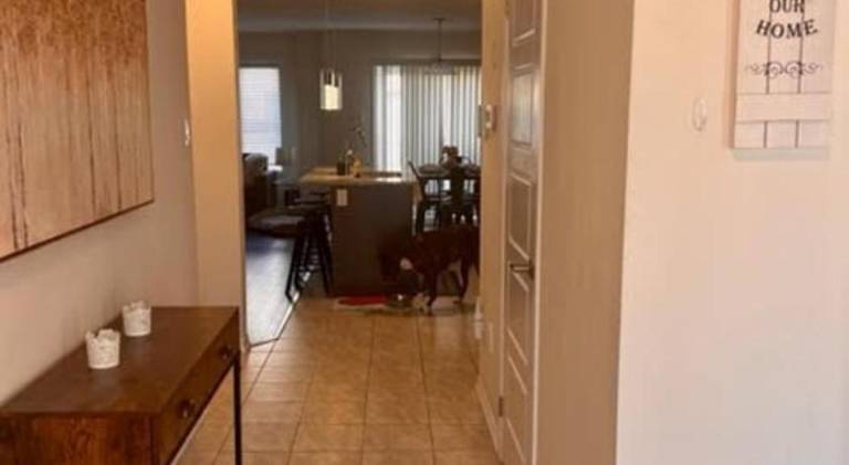 Pleasant holiday apartment | Pet-friendly — photo 3