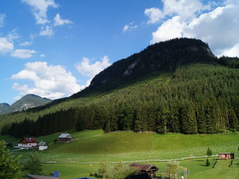 foto12