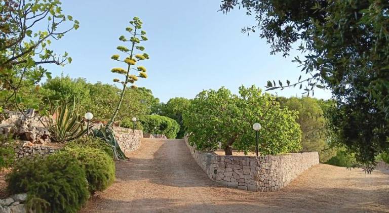 Villa Sergio - Health & Nature — photo 3