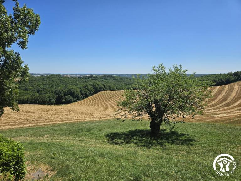 Gite with terrace & garden | Pets are welcome — photo 2