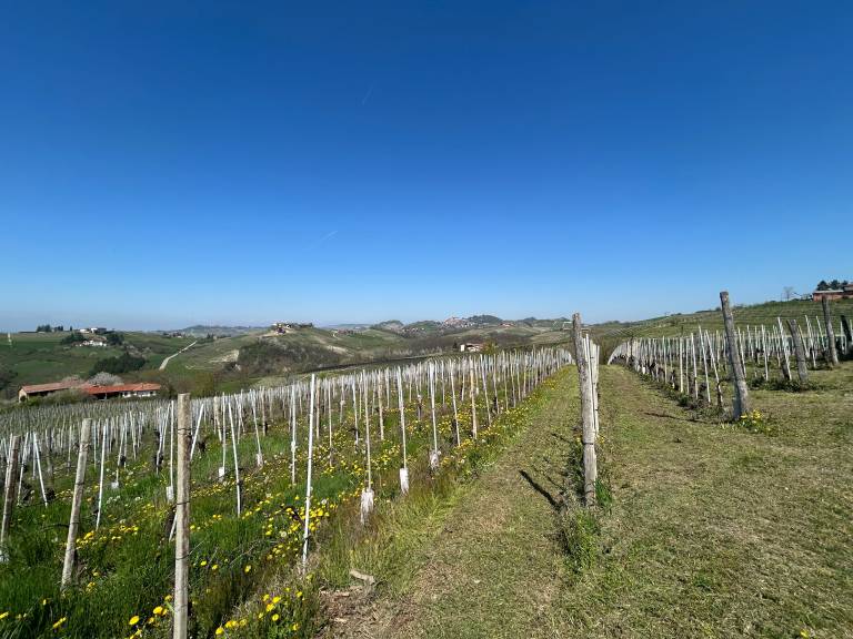 foto13