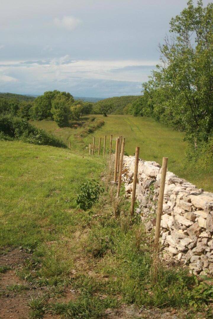 foto23