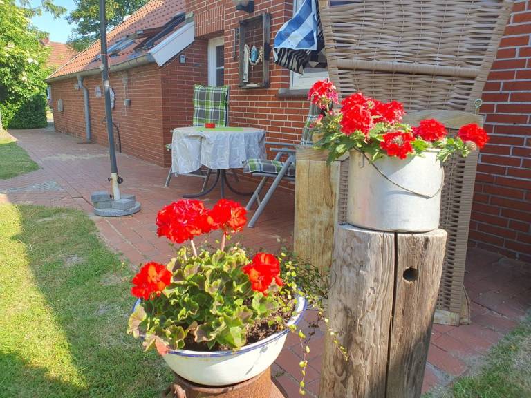 foto18